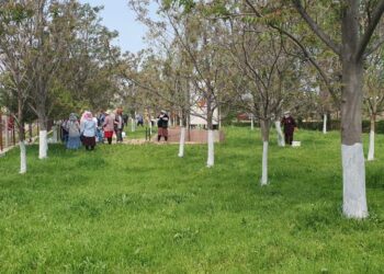 «ЖАСЫЛ АЙМАҚ»: ҚАЗЫҒҰРТ АУДАНЫНЫҢ ЕЛДІ МЕКЕНДЕРІНДЕ СЕНБІЛІК ЖҰМЫСТАРЫ ЖҮРІП ЖАТЫР