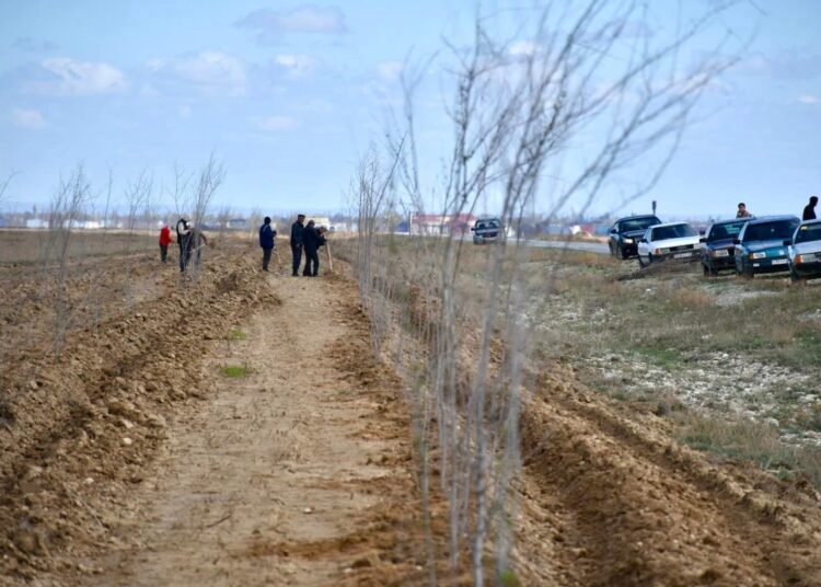 «ЖАСЫЛ АЙМАҚ»: СОЗАҚ АУДАНЫНЫҢ БАРЛЫҚ ЕЛДІ МЕКЕНДЕРІНДЕ КӨГАЛДАНДЫРУ ЖҰМЫСТАРЫ ЖҮРІП ЖАТЫР