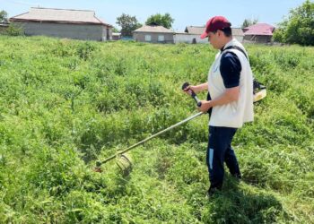 «ЖАСЫЛ АЙМАҚ»: КЕЛЕСТЕ АБАТТАНДЫРУ ЖҰМЫСТАРЫ АТҚАРЫЛУДА