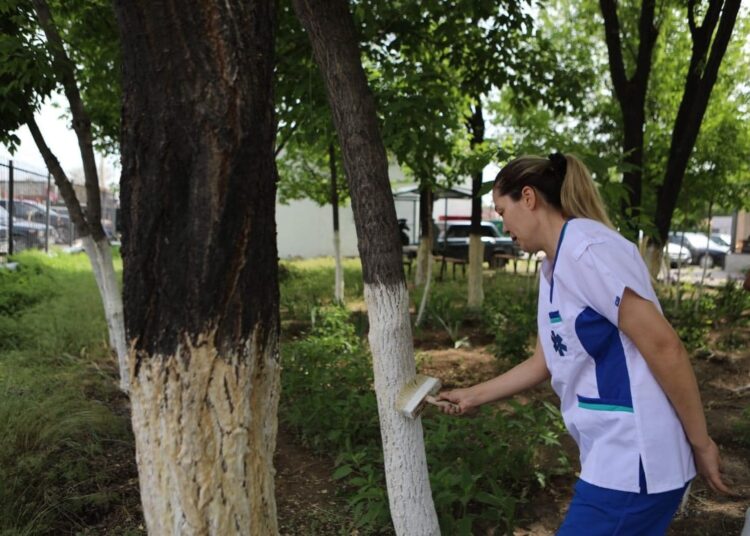 «ЖАСЫЛ АЙМАҚ»: ТҮРКІСТАНДА ӘЛЕУМЕТТІК САЛА ҚЫЗМЕТКЕРЛЕРІ ЭКОАКЦИЯҒА ҮЛЕС ҚОСТЫ