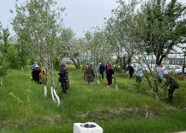 «ЖАСЫЛ АЙМАҚ»: ОТЫРАРДА САЯБАҚТАРДА СЕНБІЛІК ӨТІП ЖАТЫР