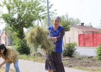 ТҮРКІСТАНДЫҚТАР ТҰРҒЫЛЫҚТЫ ЖЕРЛЕРІНДЕ ТАЗАЛЫҚ ЖҰМЫСТАРЫН ЖҮРГІЗДІ