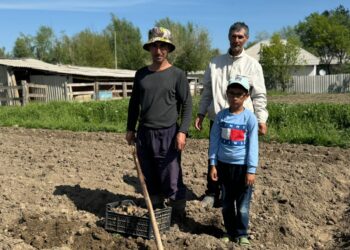 ЖЕР ЕМГЕН КҮРДІ…