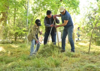 БЕЛСЕНДІ АРДАГЕРЛЕР «ТАЗА ҚАЗАҚСТАН» НАУҚАНЫНДА