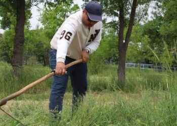 КЕЛЕСТЕ «ӨНЕГЕЛІ ҰРПАҚ» АПТАЛЫҒЫНДА 1 МЫҢҒА ЖУЫҚ АДАМ СЕНБІЛІКТЕРГЕ ҚАТЫСТЫ