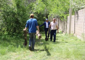 «ТАЗА ҚАЗАҚСТАН»: ТҮЛКІБАС АУДАНЫНДА 100-ДЕН АСТАМ БҰЛАҚ КӨЗДЕРІ ТАЗАЛАНДЫ