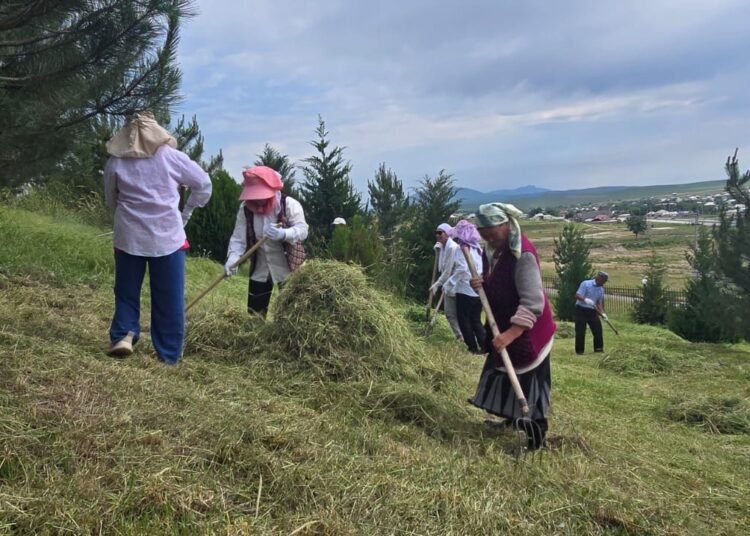 ТҮРКІСТАН: РЕСПУБЛИКАЛЫҚ ЭКОАКЦИЯ ҚАЗЫҒҰРТ АУДАНЫНДА ЖАЛҒАСТЫ