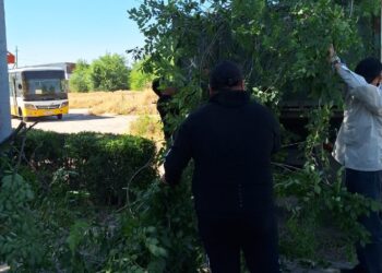 «ТАЗА ҚАЗАҚСТАН»: АБАЙ АУДАНЫНДА ТАЗАЛЫҚ ЖҰМЫСТАРЫ ӨТКІЗІЛДІ