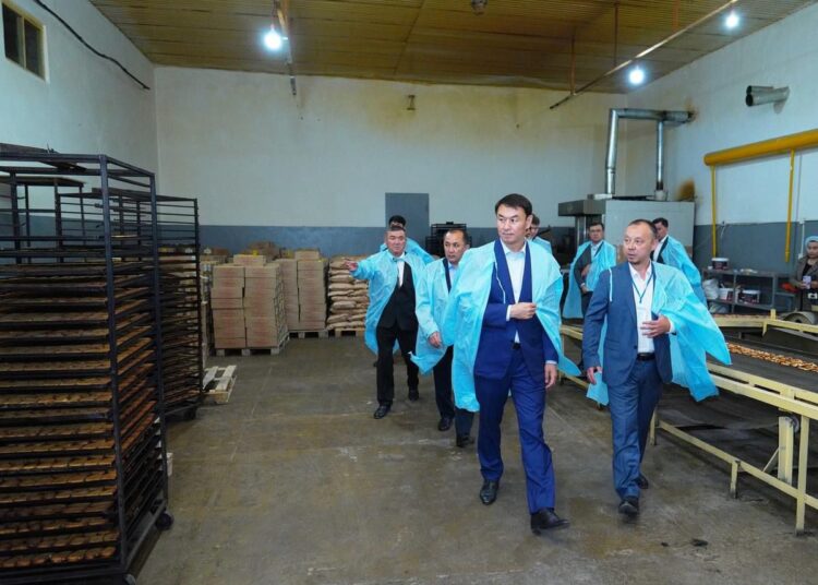 ТҮРКІСТАН: САРЫАҒАШТА КӘСІПКЕРЛІК ДАМЫП КЕЛЕДІ