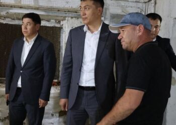 ТҮРКІСТАН: САУРАНДА ФАБРИКА ЖЫЛЫНА 60 ТОННА ҚҰС ЕТІН ӨНДІРЕДІ