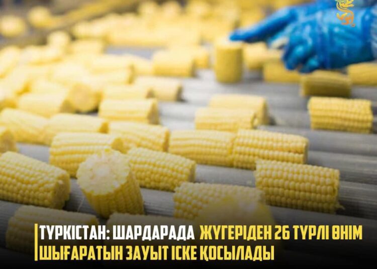 ТҮРКІСТАН: ШАРДАРАДА ЖҮГЕРІДЕН 26 ТҮРЛІ ӨНІМ ШЫҒАРАТЫН ЗАУЫТ ІСКЕ ҚОСЫЛАДЫ