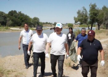 «ТАЗА БЕЙСЕНБІ» АРЫС ЖАҒАЛАУЫНДА ЖАЛҒАСТЫ