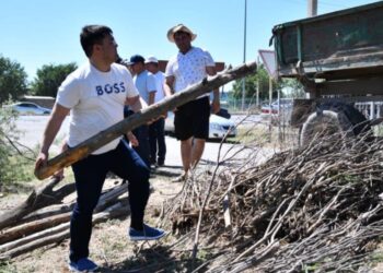 ОТЫРАР АУДАНЫНДА «ТАЗА ҚАЗАҚСТАН» ЭКОЛОГИЯЛЫҚ АКЦИЯСЫ ЖАЛҒАСУДА