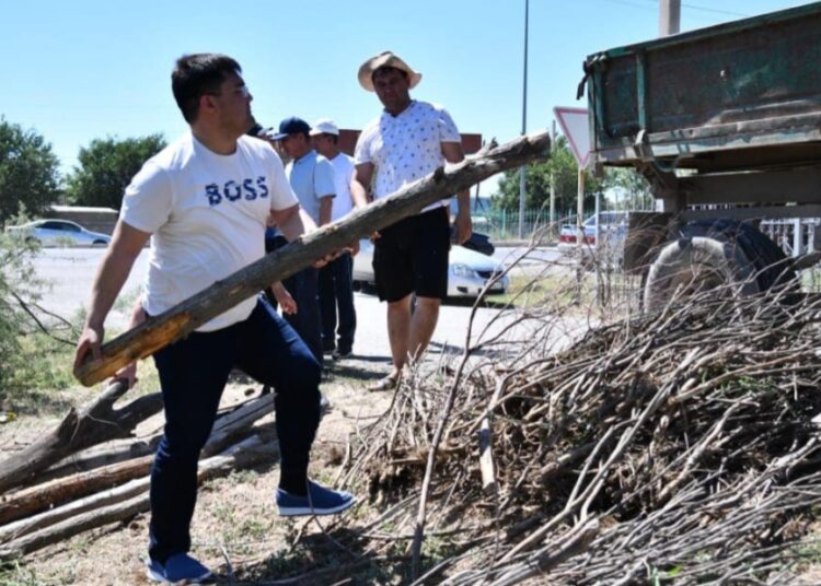 ОТЫРАР АУДАНЫНДА «ТАЗА ҚАЗАҚСТАН» ЭКОЛОГИЯЛЫҚ АКЦИЯСЫ ЖАЛҒАСУДА