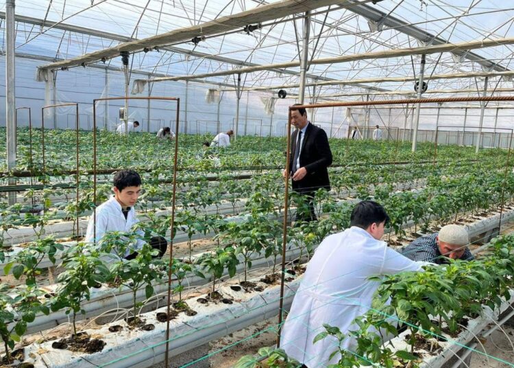 БИЫЛ ТҮРКІСТАНДА 15 МЫҢНАН АСТАМ КОЛЛЕДЖ СТУДЕНТІ МЕМЛЕКЕТТІК ТАПСЫРЫСПЕН БІЛІМ АЛАДЫ