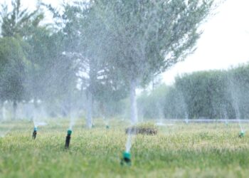 «ТАЗА ҚАЗАҚСТАН»: ТҮРКІСТАН ОБЛЫСЫНДА «ҮЛГІЛІ АУЫЛ» ЖОБАСЫ ЖҮЗЕГЕ АСУДА