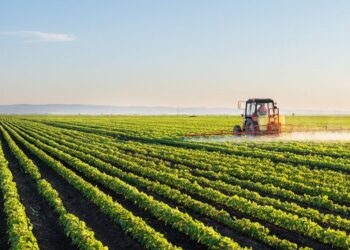 ТҮРКІСТАН ОБЛЫСЫ «АУЫЛ АМАНАТЫ» ЖОБАСЫНЫҢ КӨРСЕТКІШІ БОЙЫНША РЕСПУБЛИКАДА КӨШ БАСТАП ТҰР