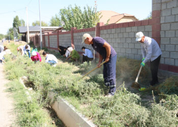  ТҮРКІСТАН: «ТАЗА ҚАЗАҚСТАН» АЯСЫНДА  «ТАЗА АУЫЛ» ЭКОАКЦИЯСЫ ӨТТІ