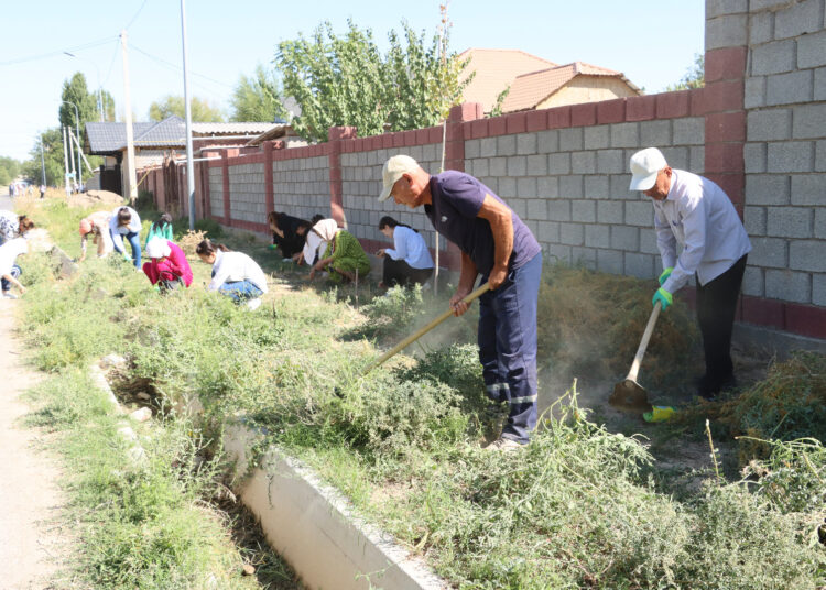 ТҮРКІСТАН: «ТАЗА ҚАЗАҚСТАН» АЯСЫНДА «ТАЗА АУЫЛ» ЭКОАКЦИЯСЫ ӨТТІ