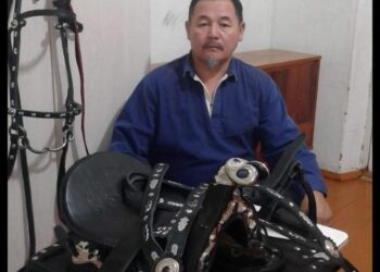 ТӨЛЕБИЛІК ШЕБЕР ЕР ТҰРМАННЫҢ 20-ДАН АСТАМ ТҮРІН ТҮГЕНДЕП КІТАП ЖАЗҒАН