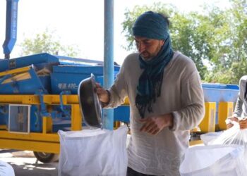 КҮНБАҒЫС – ЕГЕ БІЛГЕНГЕ ЕН ТАБЫС!