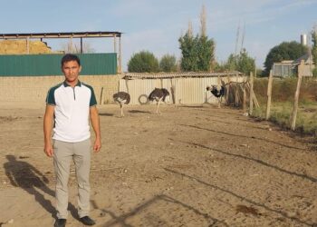 ТҮЙЕҚҰС ӨСІРУШІЛЕР ОНЫҢ САНЫН АРТТЫРМАҚ