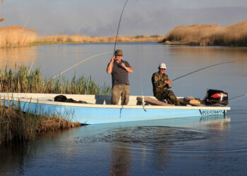ТҮРКІСТАН ОБЛЫСЫ: МАМАНДАР БАЛЫҚ АУЛАУ КЕЗІНДЕ ҚАУІПСІЗДІК ШАРАЛАРЫН САҚТАУҒА ШАҚЫРАДЫ