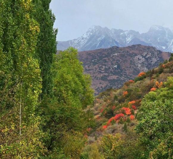 ТУРИЗМНІҢ БАРЛЫҚ САЛАСЫН ДАМУТЫ МҮМКІНДІГІ БАР