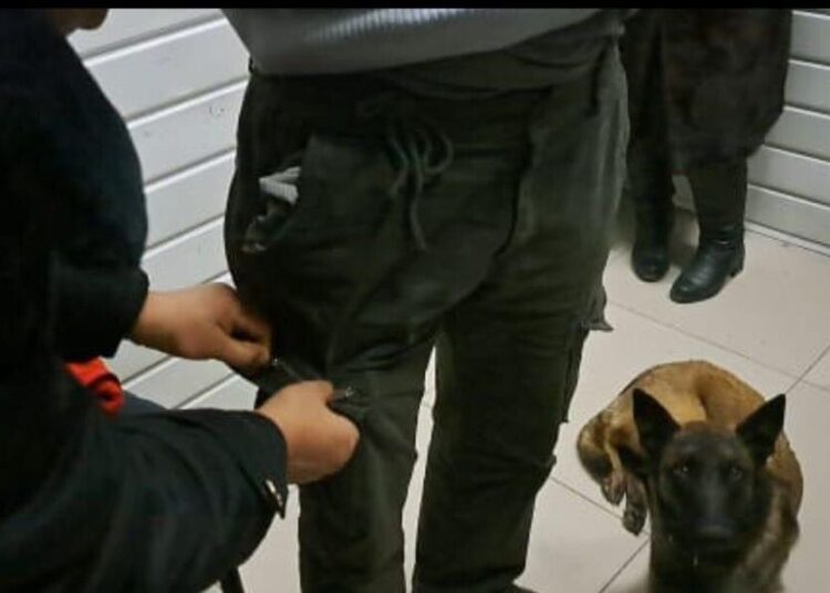 Түркістан облысында есірткі контрабандасына қатысты 120-дан астам шетелдік ұсталған