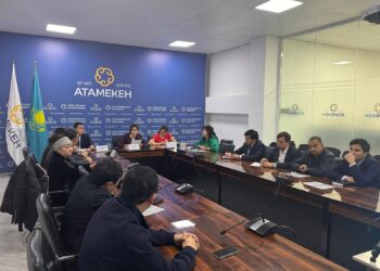 Фискалды чектерде тіл туралы заң талаптары сақталуы тиіс