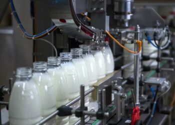 ҚАЗЫҒҰРТ АУДАНЫНДА ӨНДІРІС ОРЫНДАРЫ АРТЫП КЕЛЕДІ