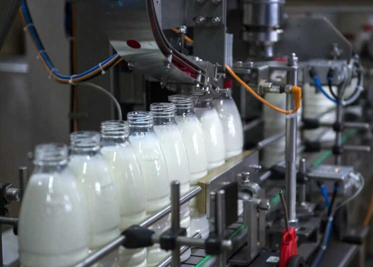 ҚАЗЫҒҰРТ АУДАНЫНДА ӨНДІРІС ОРЫНДАРЫ АРТЫП КЕЛЕДІ