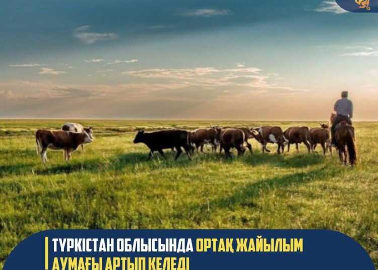ТҮРКІСТАН ОБЛЫСЫНДА ОРТАҚ ЖАЙЫЛЫМ АУМАҒЫ АРТЫП КЕЛЕДІ