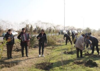 ТҮРКІСТАН ОБЛЫСЫНДА «ТАЗА ҚАЗАҚСТАН» БАҒДАРЛАМАСЫН ҰЙЫМДАСТЫРУ БОЙЫНША АУДАН, ҚАЛА ӘКІМДЕРІНІҢ РЕЙТИНГІ ӘЗІРЛЕНДІ