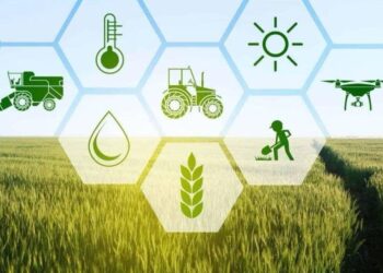 ЖОЛДАУ: САРЫАҒАШТА 22 ИНВЕСТИЦИЯЛЫҚ ЖОБА ҚОЛҒА АЛЫНБАҚ