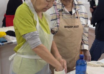 «Бір ауыл – бір өнім»: Түркістанда жүн бұйымдарын өндіру бойынша оқыту басталды