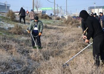 ТАЗА ҚАЗАҚСТАН: ЖЕТІСАЙДА ЖАЛПЫҚАЛАЛЫҚ СЕНБІЛІК ӨТТІ