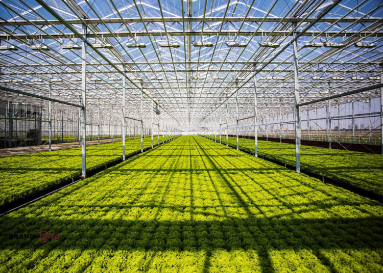 КЕЛЕС АУДАНЫНДА ЕЛІМІЗДЕГІ ЕҢ ІРІ ЖЫЛЫЖАЙ КЕШЕНІ САЛЫНЫП ЖАТЫР