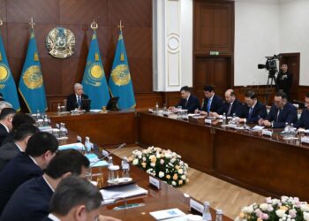 Еліміздегі 20 ЖОО базасына жасанды интеллект бойынша мамандар даярлау бағдарламасы енгізілді