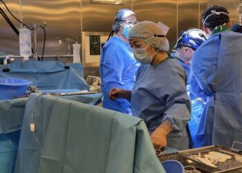 Қазақстанда 100-ші донорлық жүрек трансплантациясы өткізілді