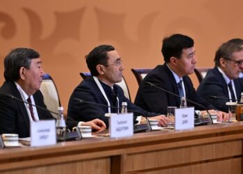 Мемлекет басшысы отандық бизнес өкілдерімен кездесуде Үкіметке қосымша құн салығы мәселесін тағы да пысықтауды тапсырды