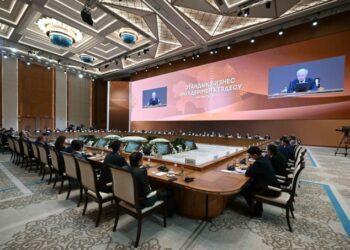 Мемлекет басшысы отандық бизнес өкілдерімен кездесуде Үкіметке қосымша құн салығы мәселесін тағы да пысықтауды тапсырды