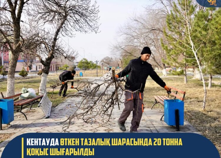 КЕНТАУДА ӨТКЕН ТАЗАЛЫҚ ШАРАСЫНДА 20 ТОННА ҚОҚЫС ШЫҒАРЫЛДЫ
