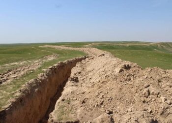 ТҮРКІСТАН: ЖЕР ТЕЛІМІНДЕ ЗАҢСЫЗ ОР ҚАЗҒАН АЗАМАТТАРДЫҢ ЖЕРЛЕРІ МЕМЛЕКЕТ МЕНШІГІНЕ ҚАЙТАРЫЛАДЫ