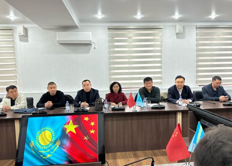 Түркістан облысында мақта шаруашылығын дамытуға Қытай және қазақстандық инвесторлар бірлесіп кірісуде