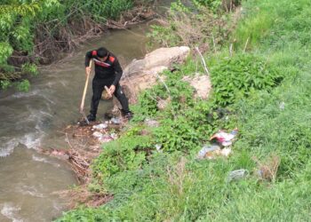 ТҮРКІСТАН: ТӨЛЕБИДЕГІ СЕНБІЛІКТЕ 8 ШАҚЫРЫМ ӨЗЕН ЖАҒАЛАУЫНАН 28 ТОННА ҚОҚЫС ЖИНАЛДЫ