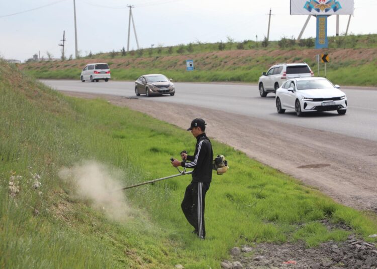 «ТАЗА ҚАЗАҚСТАН»: САРЫАҒАШТА 800-ДЕН АСА АДАМ СЕНБІЛІККЕ АТСАЛЫСТЫ