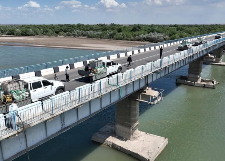 ТҮРКІСТАН: АРЫСТА ШІРКЕЙГЕ ҚАРСЫ ДЕЗИНСЕКЦИЯЛЫҚ ЖҰМЫСТАР ҚАРҚЫНДЫ ЖҮРГІЗІЛУДЕ