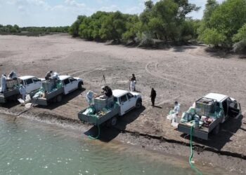 ҚР ПРЕЗИДЕНТІ ЖАНЫНДАҒЫ МЕМЛЕКЕТТІК БАСҚАРУ АКАДЕМИЯСЫНА ҚҰЖАТ ҚАБЫЛДАУ БАСТАЛДЫ