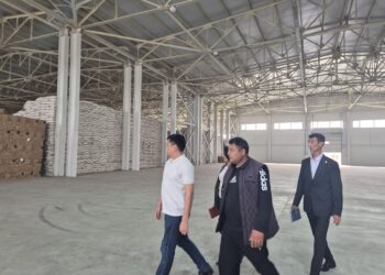 Арысқа сапар – кәсіпке назар